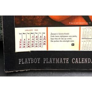 1969 Playboy Playmate Desk Calendar 12 Separate Months Cardboard Frame